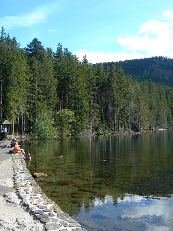 Apartmány Olympia Železná Ruda Exterior foto