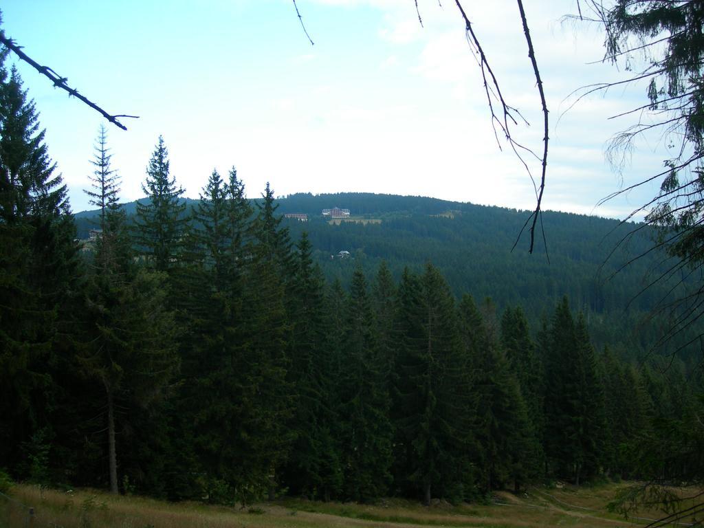 Apartmány Olympia Železná Ruda Exterior foto